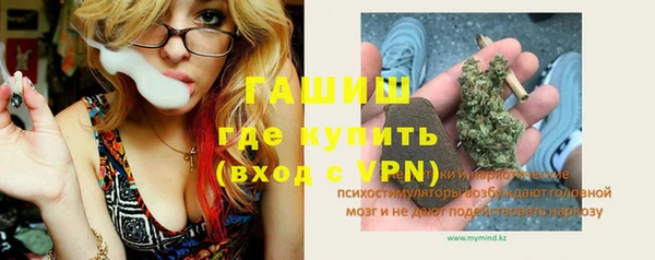 эйфоретик Тайга