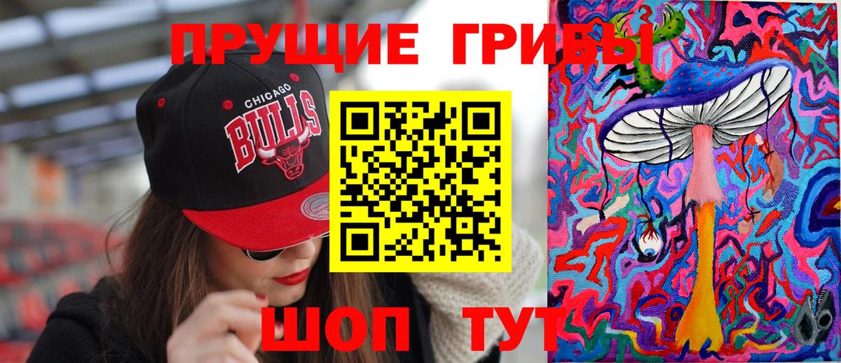 Галлюциногенные грибы Psilocybine cubensis  Вход с VPN  Псилоцибиновые грибы прущие грибы  Рузаевка 